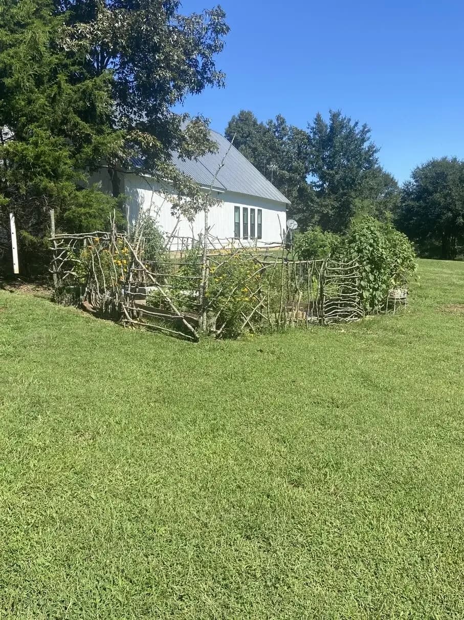 Overseeding on a Northwest Georgia lawn